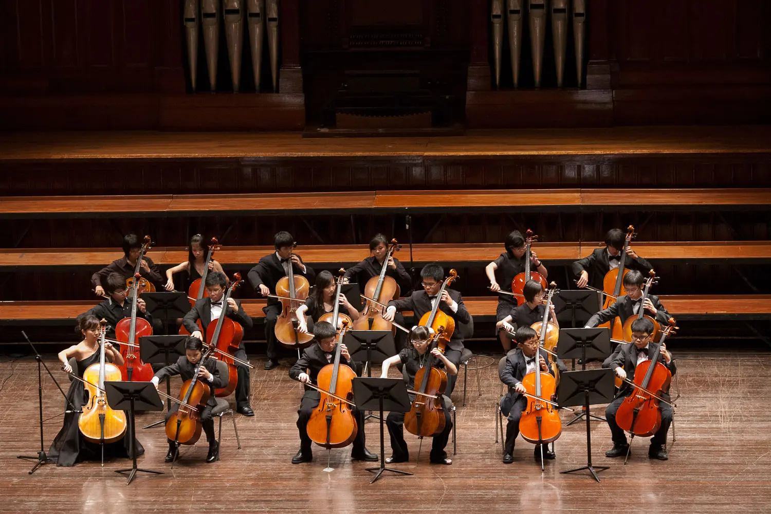 Cello Ensemble Victoria Concert Hall